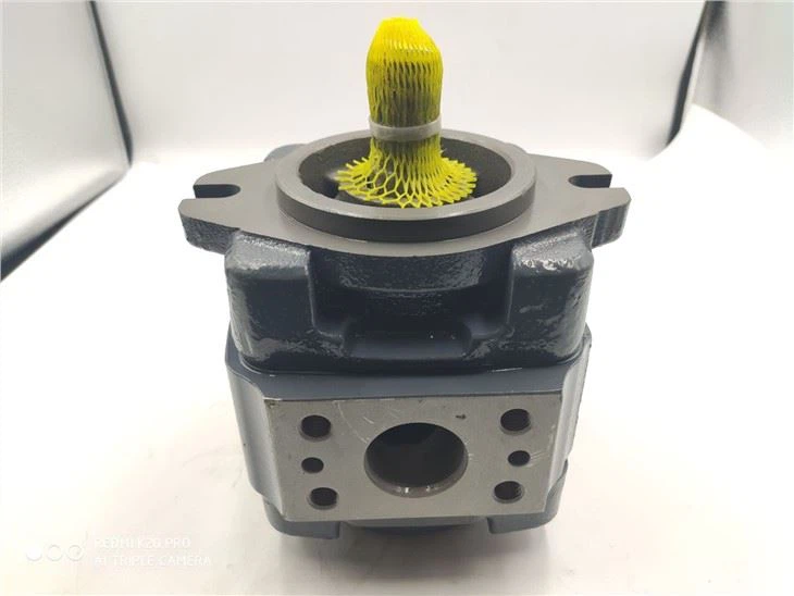 Rexroth Gear Pump PGM PGM4 PGM4-4X Series Oil Pump PGM4-4X/025RA11VU2 Internal Hydraulic Pump