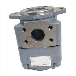 Rexroth QXM42-025L108 QXM Qxm42 QXM23 Qxm24 Qxm31 Qxm32 QXM33 Sērijas iekšējo sietu hidraulisko pārnesumu sūknis